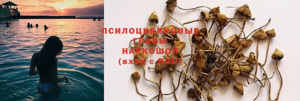 героин Пересвет