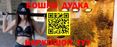 apvp Нальчик