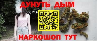 apvp Нальчик
