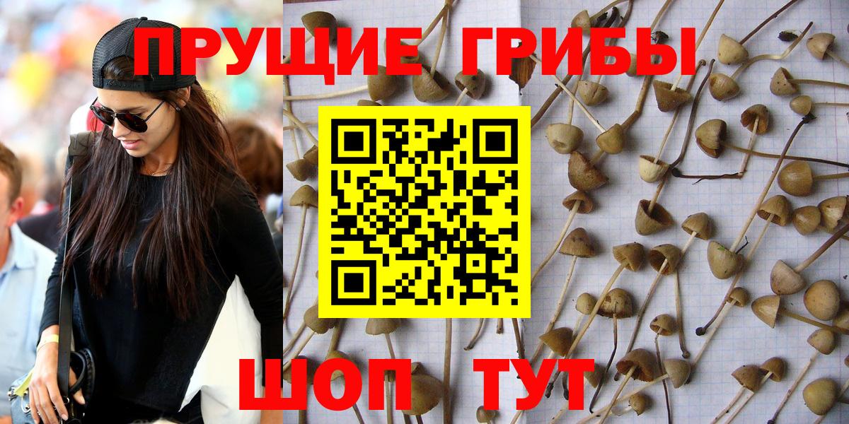 Галлюциногенные грибы MAGIC MUSHROOMS Симферополь